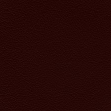 GM Ruby Red Leather Dye
