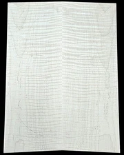 Figured 4a curly maple droptop glued guitar top