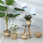 Foto 10 di 12