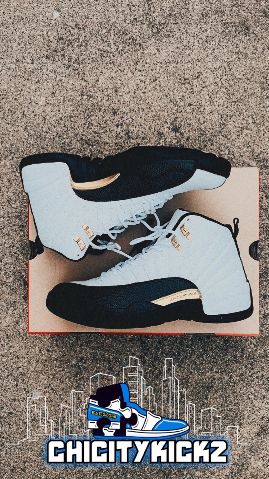 Taille 10,5   Jordan 12 Royalty #rare #blanc cassé #surprem #dior