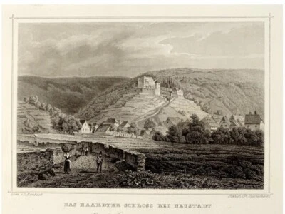  NEUSTADT/W MIT HAARDTER SCHLÖSSCHEN  Orig.Stahlstich Hablitscheck Rohbock - Bild 1 von 3
