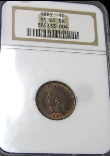 1889 Indian Cent Penny ---- MS-65 NGC Graded Coin ----  #440C