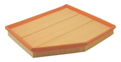 Air Filter Pentius PAB10566