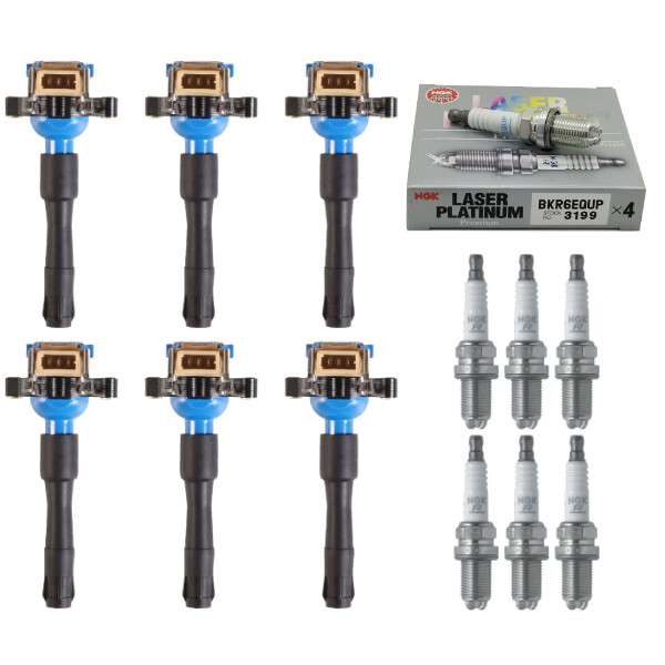 New Set of 6 Performance Ignition Coil  NGK Spark Plug for BMW 320i 328i 525i