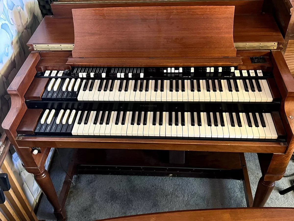 Hammond online b3 store