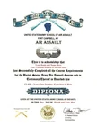 United States Army Air Assault Course School Diploma Replacement Certificate