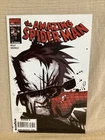 AMAZING SPIDER MAN 576 2009 Marvel Panini Bagged & Boarded
