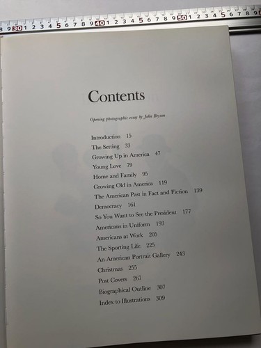 Norman Rockwell Gemälde, Kunstbücher, großes Öl ausländisches Englisch - Bild 5 von 16