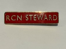 Vintage Original Royal College Of Nursing RCN Steward Enamel Pin Badge RARE