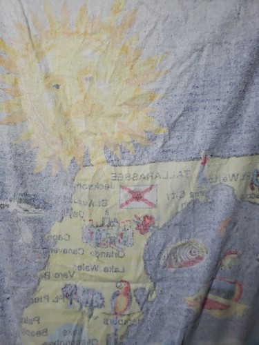 Toalla de playa Florida vintage de recuerdo de los 90 mapa estatal 31x56 CP - Imagen 11 de 11