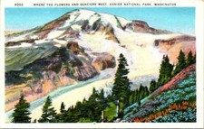 1950 Glacier & Flowers Mount Rainier National Park Washington Vintage Postcard