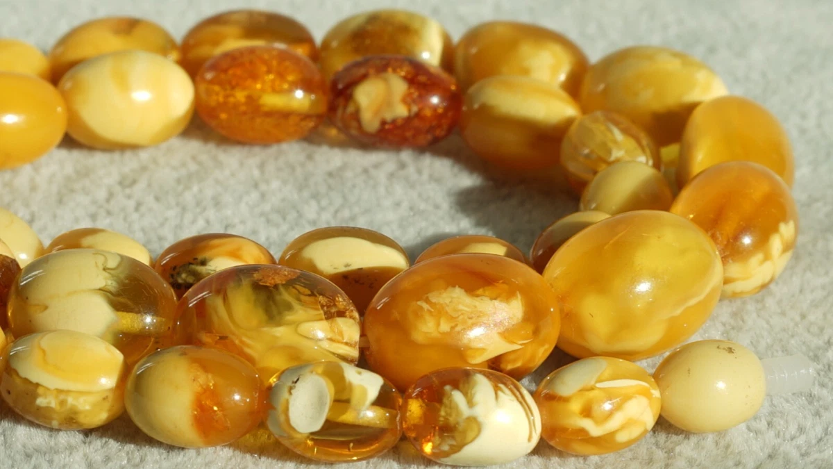 Ebay amber best sale necklace