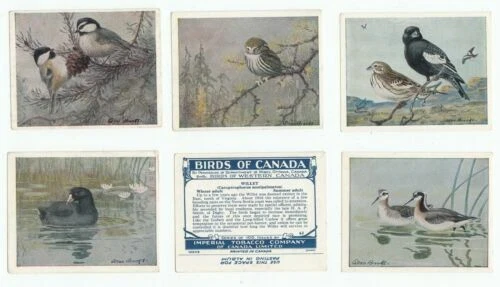 Overseas Issue Birds Collectable Cigarette Cards