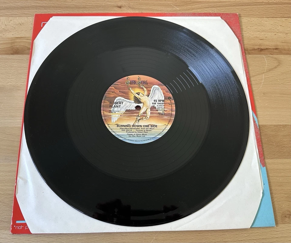 ROBERT PLANT Single Vinyl 12" 45RPM 1982 BURNING DOWN ONE SIDE SSK 19429K - Image 3 of 4