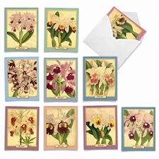 10 Thank You Cards Pack - Vintage Orchids