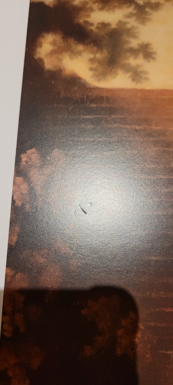 Picture 20 of 24