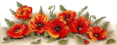 #ad Anchor SPRAY OF POPPIES Counted Cross Stitch Kit Sealed MPN 06019 Vintage $47.39