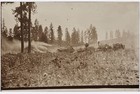 Foto 1 di 2