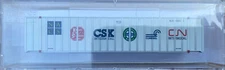 n scale micro trains 48’ rib side container North American Container System NACS