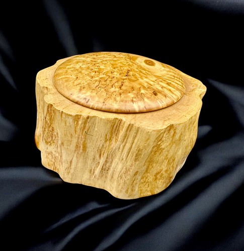 ANTIQUE BOX rustic case Karelian Birch wood Maple cap jewelry ashtray vtg table