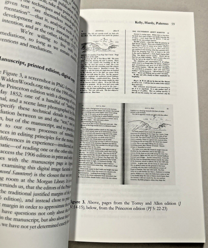The Concord Saunterer ~ Journal of Thoreau Studies ~ Volume 28 ~ 2020 - Imagen 8 de 10