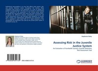 Assessing Risk In The Juvenile Justice System Stephanie Daley