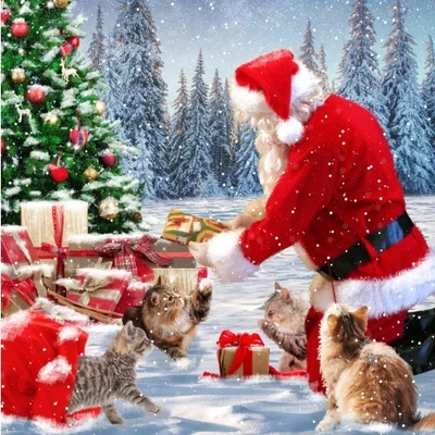 Our Very Own Cat Charity Christmas Card Packs - Midlands Animal Rescue Team