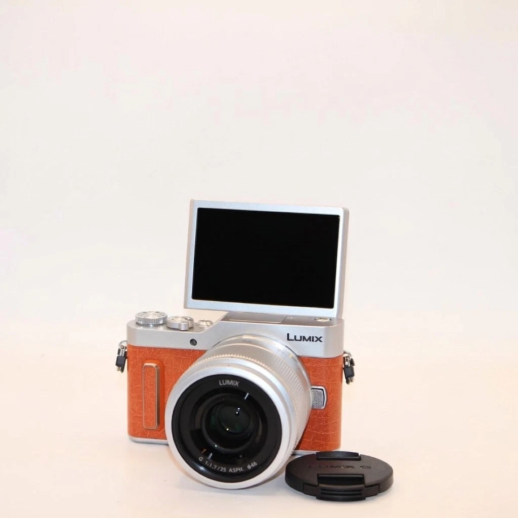 Panasonic LUMIX GM1 Digital Cameras for Sale | Shop New & Used