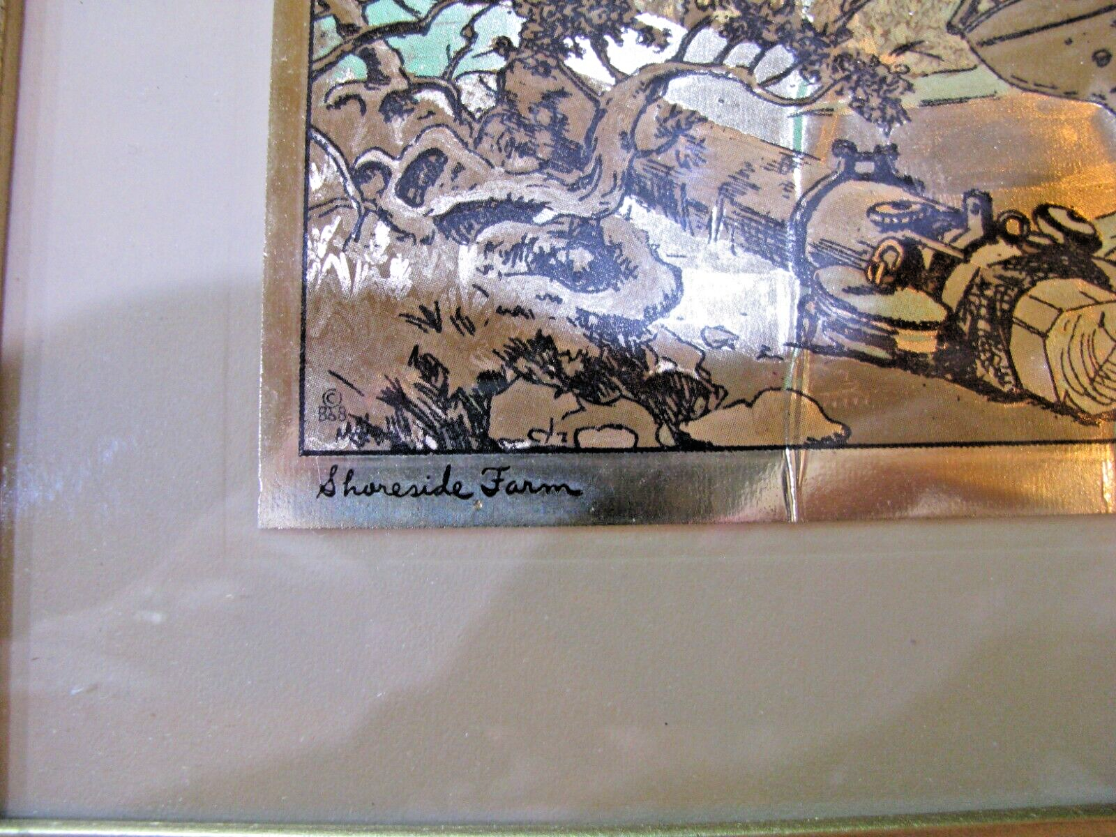 Picture 13 of 15