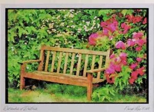 Garden 131081 Garden Bench With Rambler Roses A3 Watercolour print