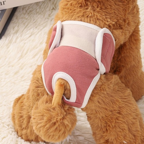 Pantalones Higiene Mascotas Perros Mujer Pantalones Menstruales Mascotas > - Imagen 10 de 17