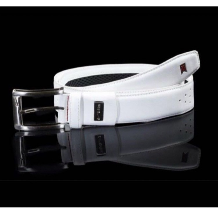 NIKE - 送料無料 新品 NIKE GOLF TIGER WOODS BELT 42 FREE SHIPPING BRAND NEW NIKE GOLF G-FLEX TIGER WOODS BELT 42