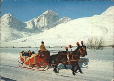 Schlitten Schnee Pferdeschlitten Engadin