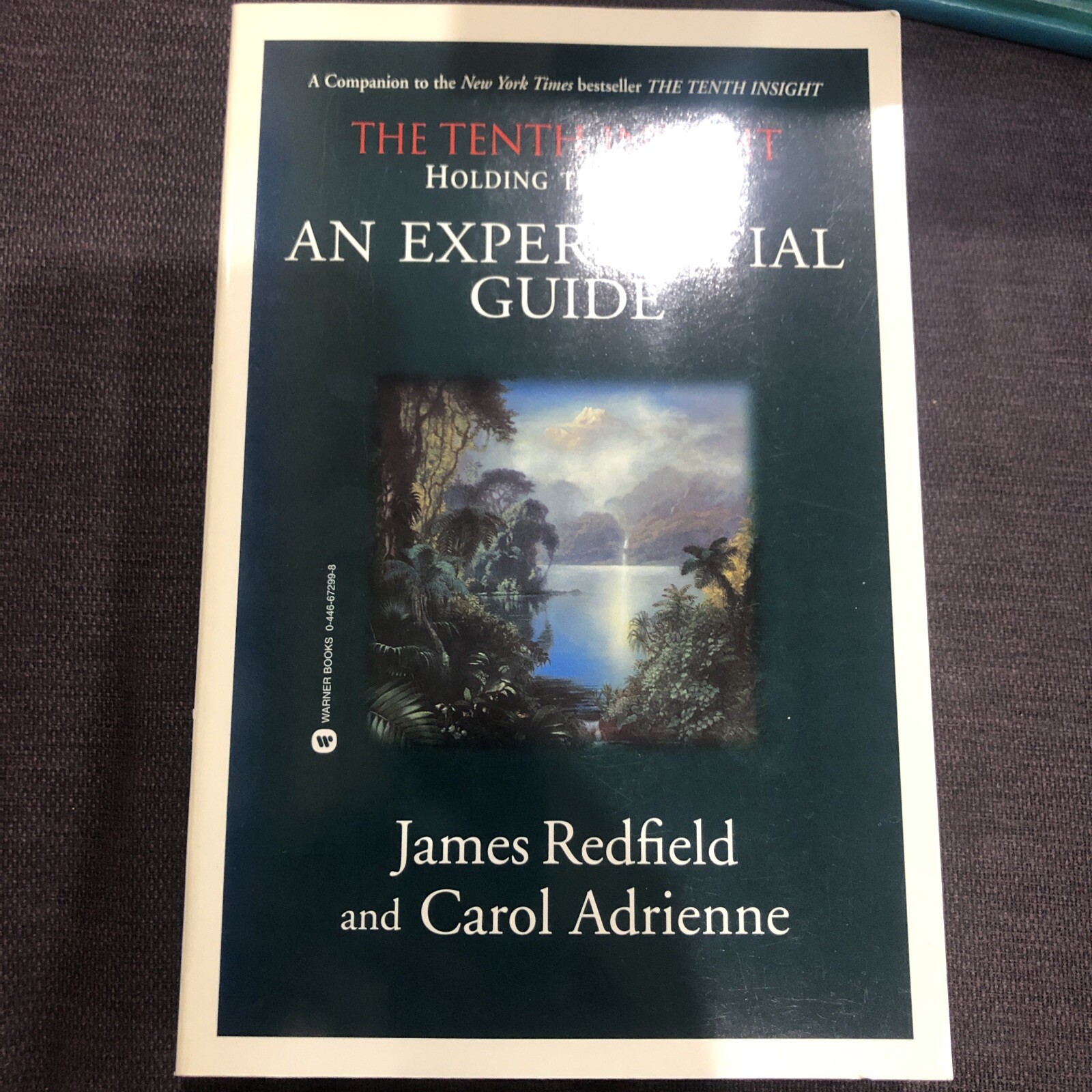 Holding the Vision An Experiential Guide : An Experiential Guide by James Redfield and Carol ...