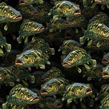 Striper Bass 26 - 16" x 48" Hydrographic Film Hydro Dipping