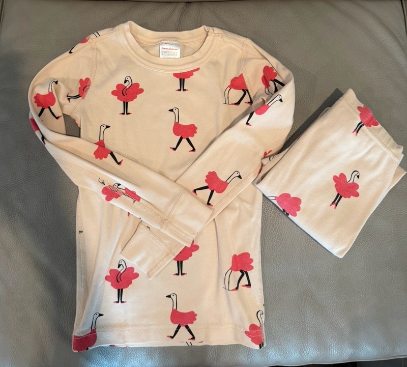 Hanna Andersson Pink Bird In Tutu long sleeve pants pajama set sz 6/7