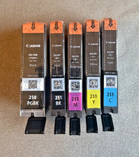 Genuine Canon Inkjet Valuepack PGI-250 Black CLI-251 Black,Yellow,Cyan,Magenta