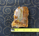 Picture Jasper Rough - Display - Lapidary - 6.4 Oz's  - Nice! — photo 8