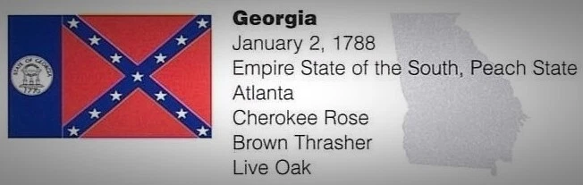 American Spirit Collection Georgia State Quarter Issued August 1999 UNC - Image 3 of 4