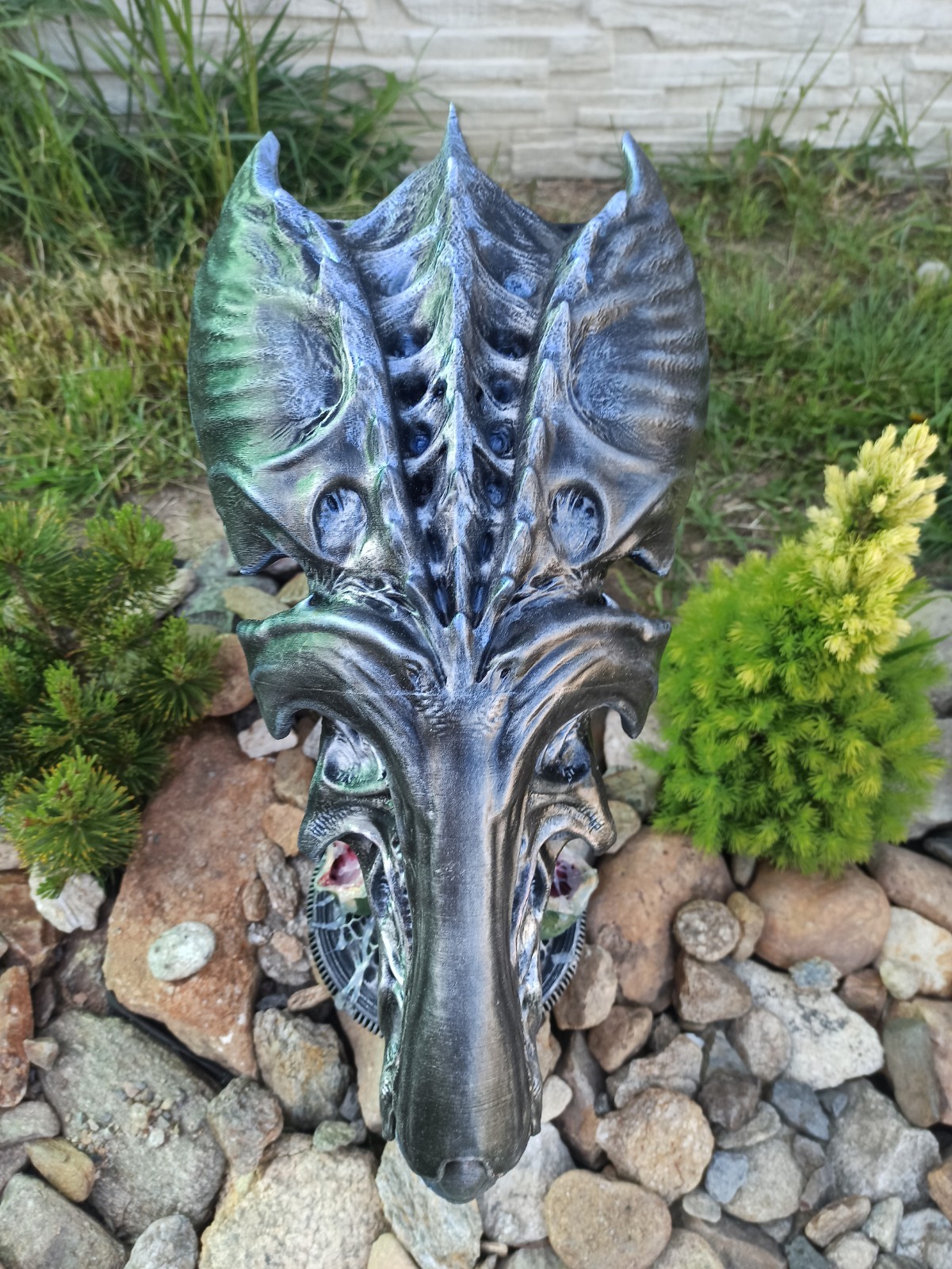 Picture 13 of 24