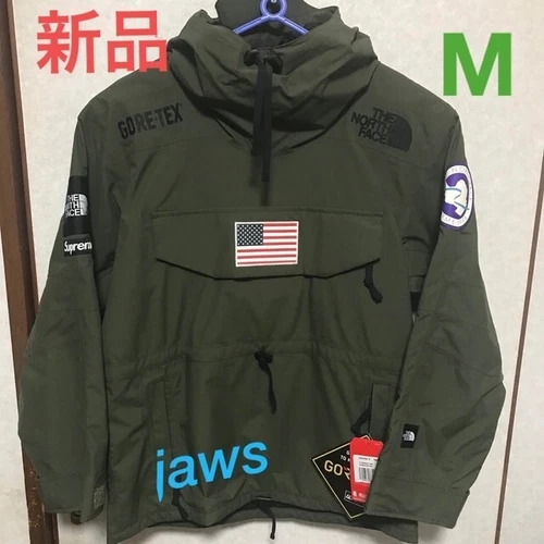 New Supreme/The North Face Trans Antarctica Pullover (Olive, Size M)