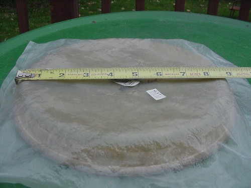 LP Latin Percussion Hand Picked Conga Drum Head 264A unused - new in bag - Picture 20 of 23