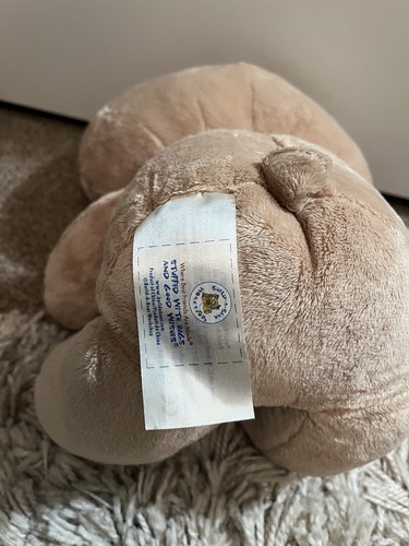 Build a Bear 2010 Sunkissed Hawaii Tan - Hello Kitty Sanrio Tropical 17" Rare - Picture 10 of 12