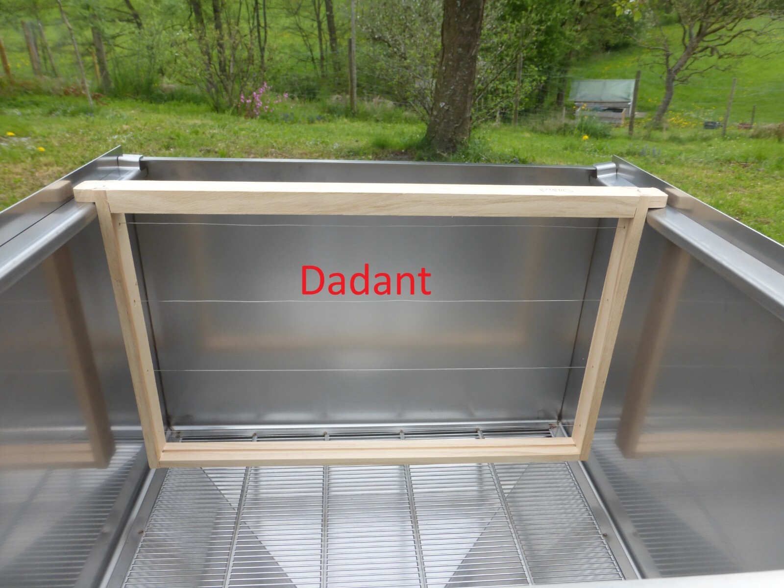 Bild 4 von 12