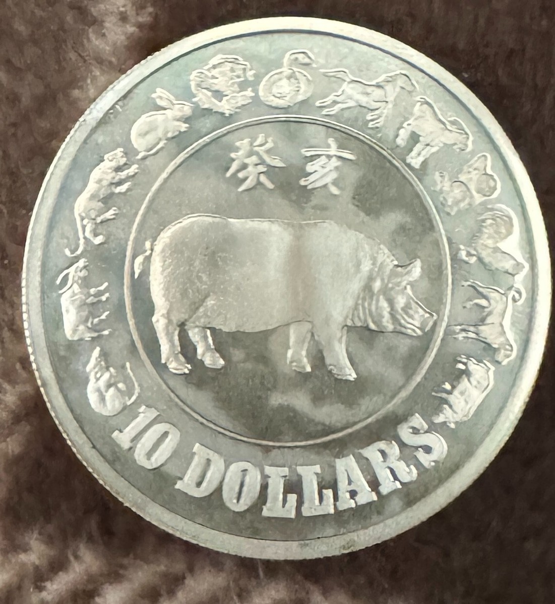 81 希少中国一分硬貨完全未使用ロール 1983 Singapore $10 Year of the Pig Silver Proof Coin | eBay