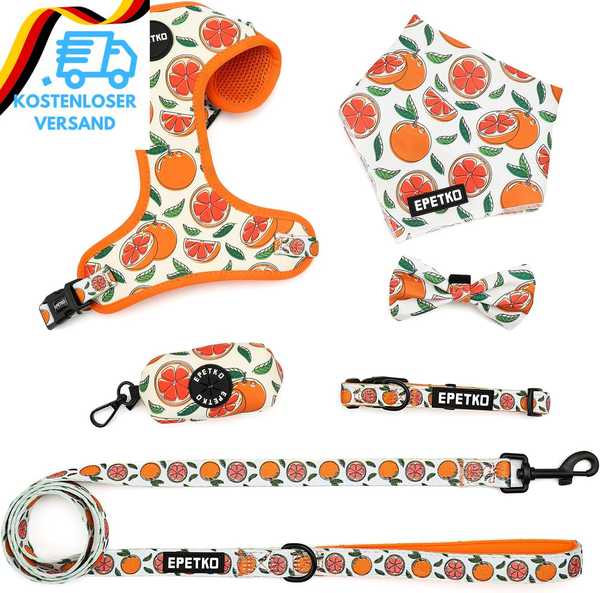Welpengeschirr Mit Leine Set, Weiches Leichtes Mesh Hundegeschirr Kleine Hunde M-image
