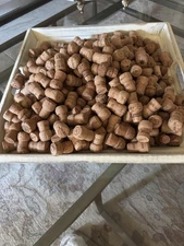 Champagne Corks 250 used corks clean nice used condition for crafts weddings