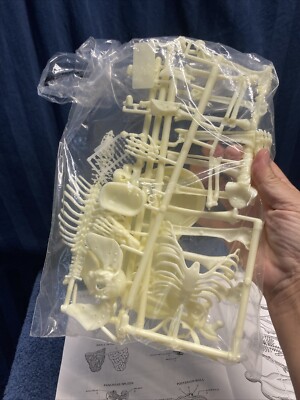 希少 Skil Craft Visible Man Anatomy Kit SKILCRAFT VISIBLE MAN Anatomy Model Kit Open Box