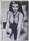 Lily Munster MAGNET 2"x3" Fridge Locker Vintage Card Reto munsters FREE SHIPPING