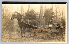 C.1910 RPPC BEAUTIFUL HORSE AND CARRIAGE, OCCUPATIONAL ? PHOTO Postcard P99